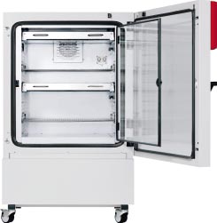 ���ȶ���������